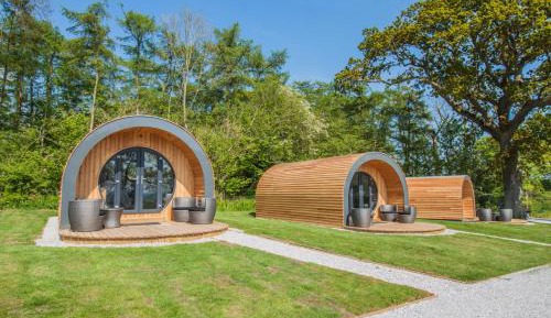 Superior Family Room