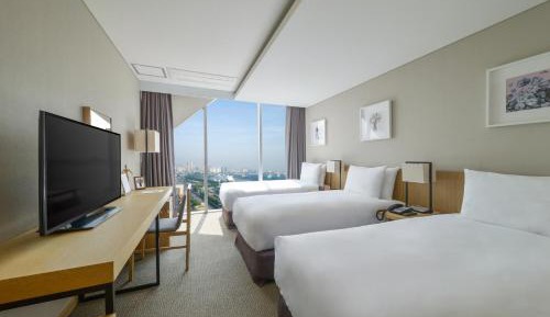 Triple Room - City View