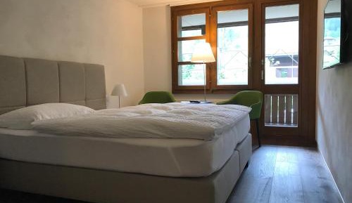 Superior Double or Twin Room with Mountain View