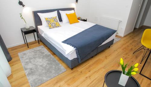 Deluxe Double Room with Terrace