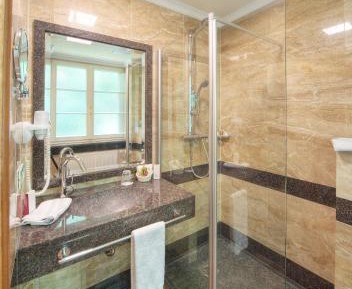 Single Room with Mountain View