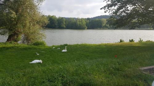 Deluxe Double or Twin Room with Lake View