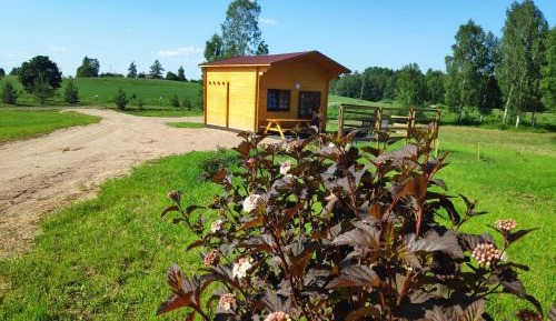 One-Bedroom House