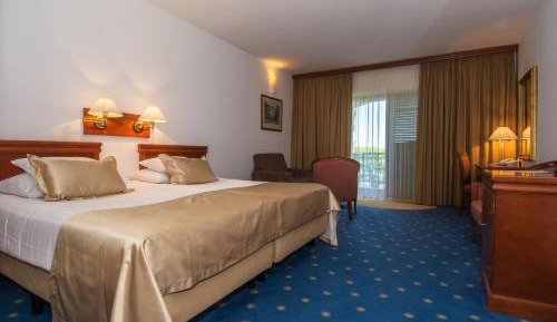 Double Deluxe Room with Balcony and Sea View