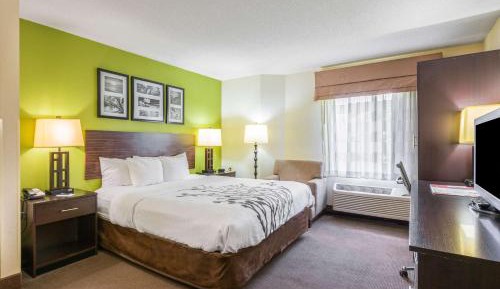 Standard King Room - Non-Smoking 