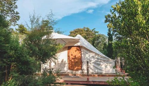 Cabin Tent