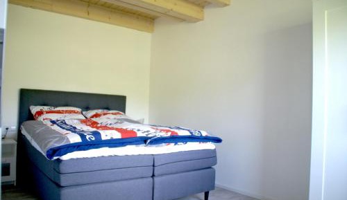 Junior Suite with Terrace