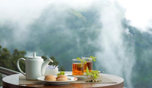 Ananta - Tea Plantation View Room AC