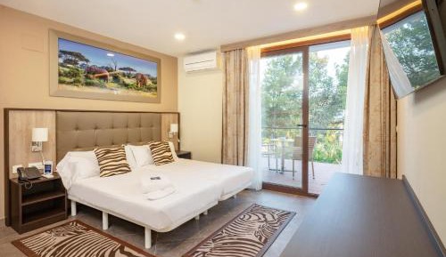 Junior Suite with Terrace