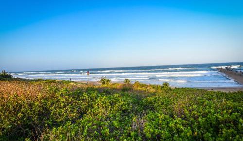 Apartment with Garden View