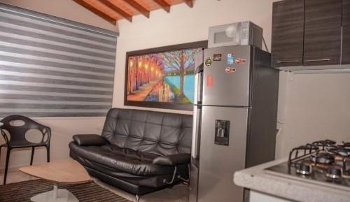 Deluxe One-Bedroom Apartment 302