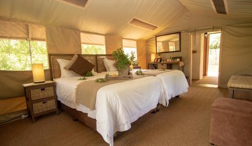 Twin Safari Tent (TS16)