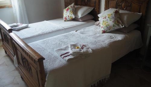 Deluxe Double or Twin Room with Garden View