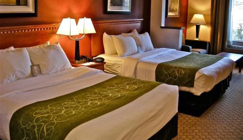 Standard Queen Suite with Two Queen Beds - Non-Smoking