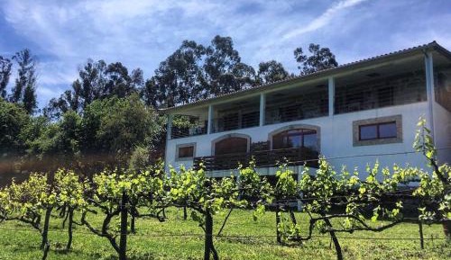 Double Room with Patio