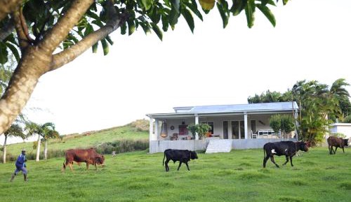 Three-Bedroom House