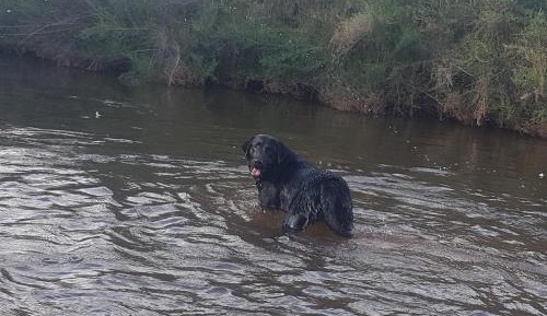 Double Room with En-Suite