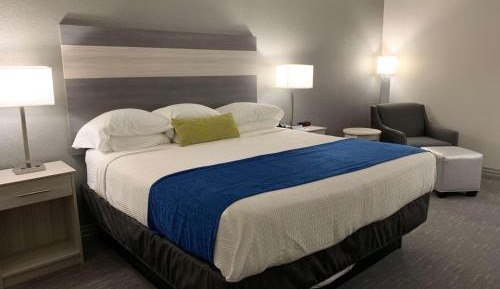 King Room with Roll-In Shower - Disability Access