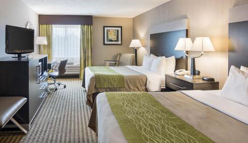 Standard Queen Room with Two Queen Beds Non-Smoking