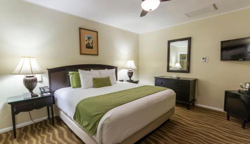 King Room with Pool View