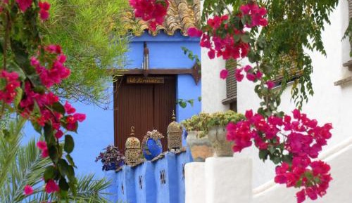 Studio with Terrace (2 Adults)