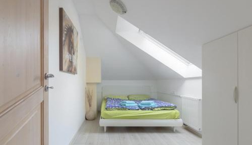 One-Bedroom Apartment - Loft