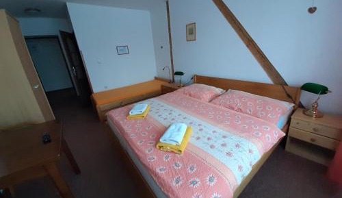 Family Apartment