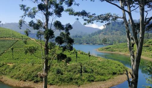 Double Room with Mountain View