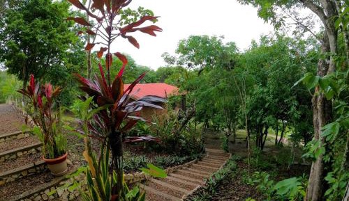 Tree Level Studio Cabana