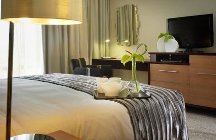 Standard Room 1 King Bed Non Smoking