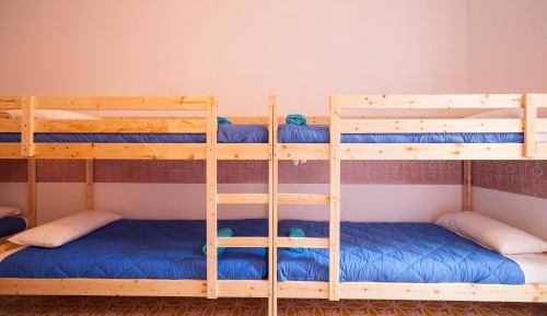 Bed in 6-Bed Mixed Dormitory Room