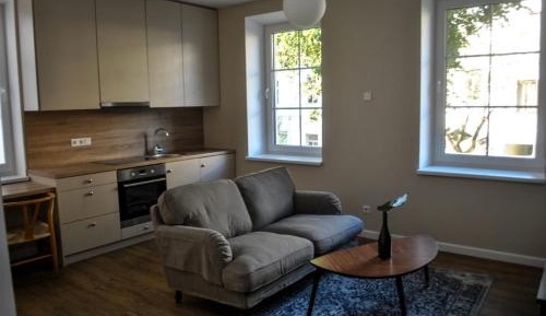 Deluxe Apartment with Laisves avenue view