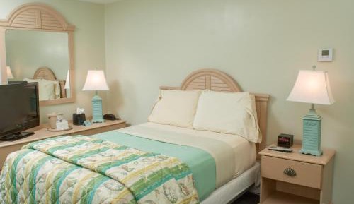 Budget Single Room