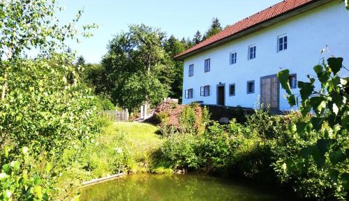 Apartment - Split Level