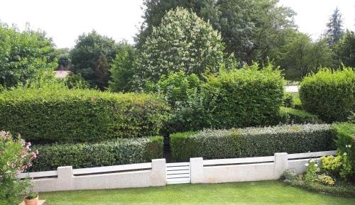 Double Room with Terrace