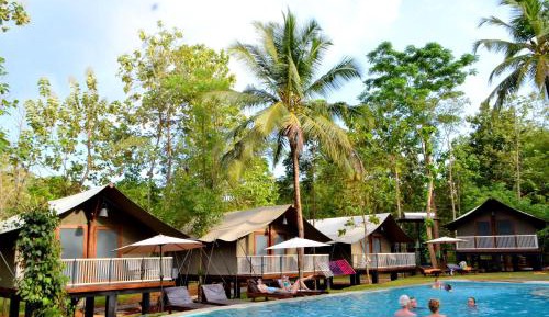 Pool View Luxury Tent