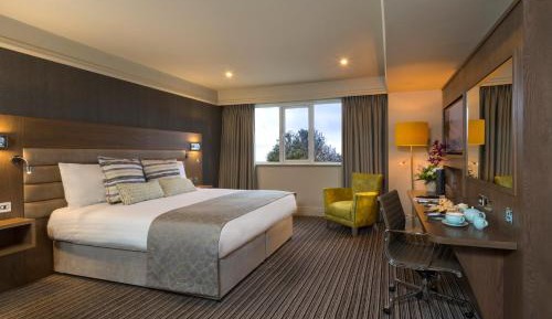 Executive King Room