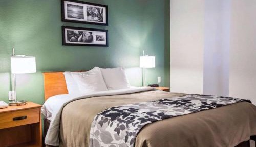 Queen Room with Roll-In Shower - Accessible/Non-Smoking