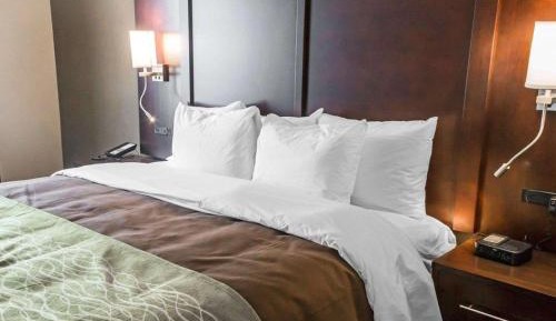 King Suite with Sofa Bed - Non-Smoking