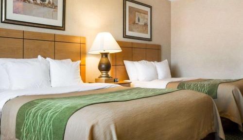 Queen Room with Two Queen Beds - Non-Smoking