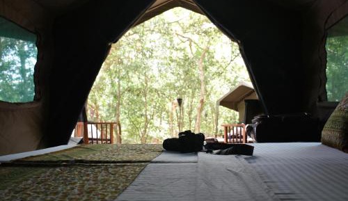 Tent on All Inclusive