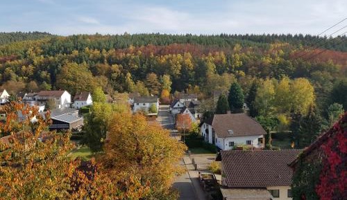 Deluxe Double Room with Shower