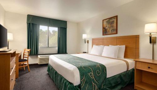 Deluxe Queen Room - Mobility Access/Non-Smoking