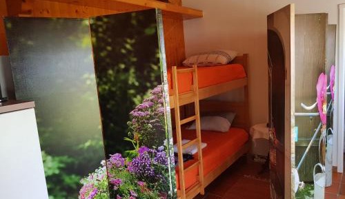 4-Bed Mixed Dormitory Room