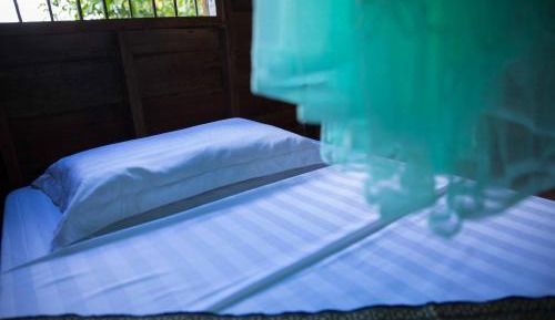 Bed in 4-Bed Dormitory Room