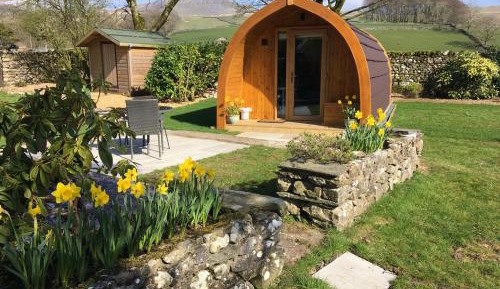 Deluxe Micro Lodge