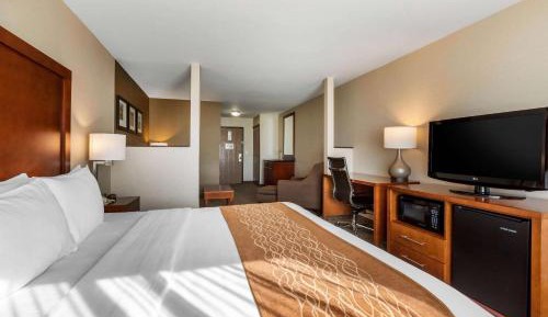 Suite, 1 King Bed with Sofa Bed, Non-Smoking