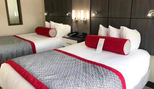 Studio Suite with Two Double Beds - Non-Smoking