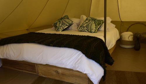 Standard Tent