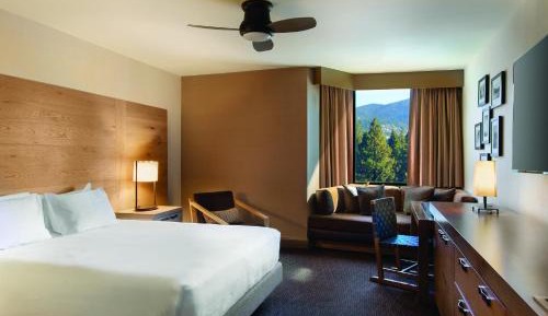 King Room with Accessible Shower - Disability Access